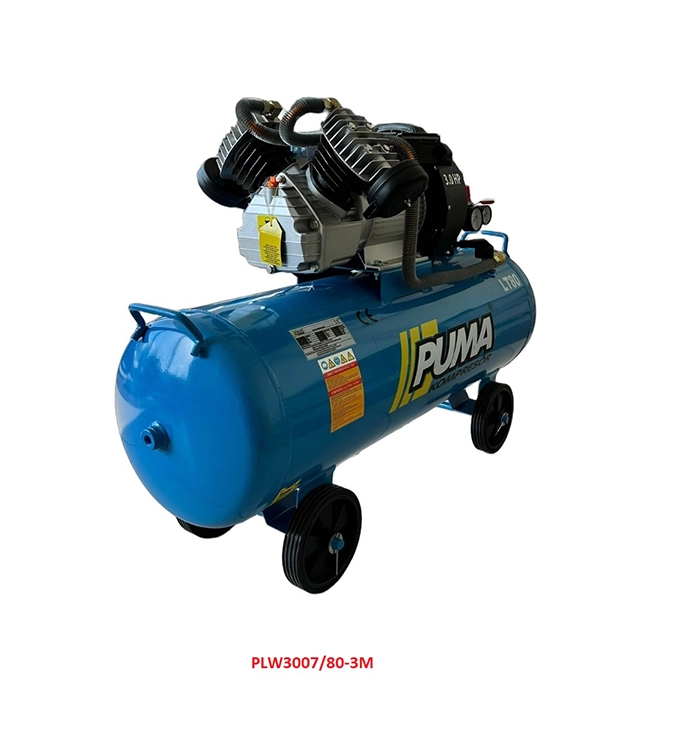 Direct Coupled Oil-Lubricated Compressors 2 Direct Coupled Oil-Lubricated Compressors - Image 2